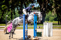 Majestic Oaks Schooling Show April 12th 2025 - 3009