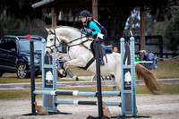 Majestic Oaks Schooling Show December 14th 2024 - 0681