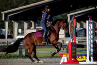 Florida Horse Park POP September 23rd 2024 - 2720