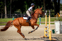 Majestic Oaks Schooling Show August 10th 2024 - 4136