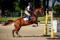 Majestic Oaks Schooling Show August 10th 2024 - 3846