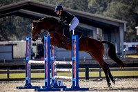 Florida Horse Park POP December 23rd 2024 - 6228