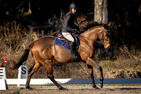 Ocala Derby January 4th 2025 - 7905