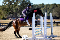 Florida Horse Park POP December 23rd 2024 - 4489