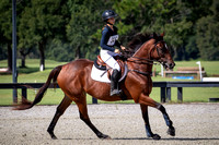 Florida Horse Park POP September 1st 2024 - 7305