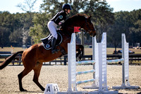 Florida Horse Park POP December 23rd 2024 - 6235