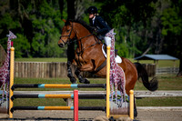 Majestic Oaks Horse Trial March 22nd 2025 - 5898