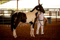 KWPN Inspection September 3rd 2023 - 5456