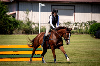 Majestic Oaks Schooling Show September 23rd 2023 - 8513