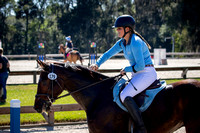 Majestic Oaks Schooling Show October 21st 2023 - 2986
