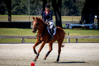 Majestic Oaks Schooling Show October 21st 2023 - 2308