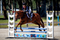 Majestic Oaks Schooling Show October 21st 2023 - 2305