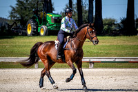 Majestic Oaks Schooling Show October 21st 2023 - 1464