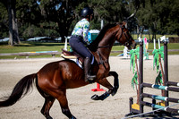 Majestic Oaks Schooling Show October 21st 2023 - 1484