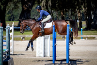Majestic Oaks Schooling Show October 21st 2023 - 1451