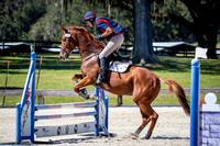 Majestic Oaks Schooling Show October 21st 2023 - 2405