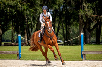 Majestic Oaks Schooling Show August 10th 2024 - 4710
