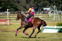 Florida Horse Park POP Schooling Show October 29th 2023 -5986
