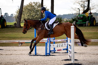 Majestic Oaks Horse Trial November 11th 2023 - 8699
