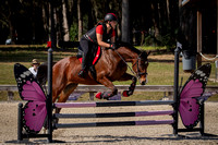 Majestic Oaks Schooling Show December 9th 2023 - 9155