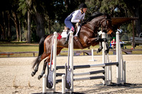 Majestic Oaks Schooling Show December 9th 2023 - 9777