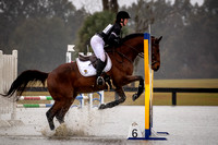Florida Horse Park POP Show December 17th 2023 - 0786