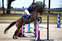 Majestic Oaks Horse Trial January 13th 20245572