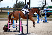 Majestic Oaks Horse Trial January 13th 20247160