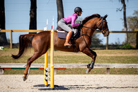 Majestic Oaks Schooling Jumper Show Febuary 25th 2024 -9295