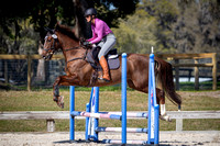 Majestic Oaks Schooling Jumper Show Febuary 25th 2024 -9302