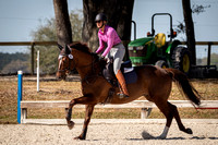 Majestic Oaks Schooling Jumper Show Febuary 25th 2024 -9307