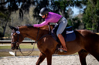 Majestic Oaks Schooling Jumper Show Febuary 25th 2024 -9318