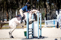 Majestic Oaks Schooling Jumper Show Febuary 25th 2024 -9693