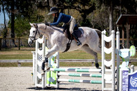 Majestic Oaks Schooling Jumper Show Febuary 25th 2024 -9688
