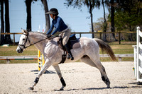 Majestic Oaks Schooling Jumper Show Febuary 25th 2024 -9689