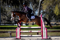 Majestic Oaks Schooling Jumper Show Febuary 25th 2024 -0528