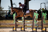 Majestic Oaks Schooling Jumper Show Febuary 25th 2024 -0535