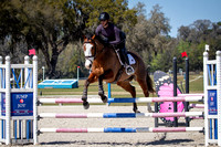 Majestic Oaks Schooling Jumper Show Febuary 25th 2024 -0539