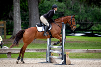 Majestic Oaks Horse Trial March 23rd 2024 - 4040