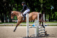 Majestic Oaks Horse Trial March 23rd 2024 - 3408