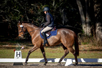 Ocala Derby January 4th 2025 - 7885