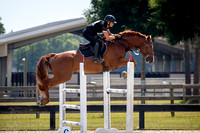 Florida Horse Park POP June 9th 2024 -9277