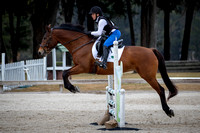 Majestic Oaks Schooling Show December 14th 2024 - 1972