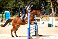 Majestic Oaks Schooling Show December 14th 2024 - 1393