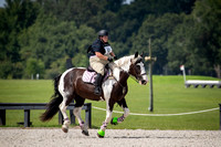 Florida Horse Park POP July 14th 2024 - 1090