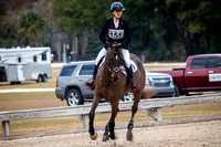 Majestic Oaks Horse Trial January 11th 2025 - 5188
