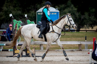 Majestic Oaks Schooling Show December 14th 2024 - 0664