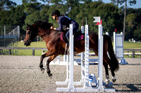 Florida Horse Park POP September 23rd 2024 - 2732