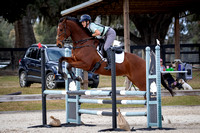 Majestic Oaks Schooling Show December 14th 2024 - 2544