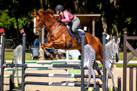 Majestic Oaks Schooling Show April 12th 2025 - 1555